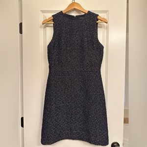 Ann Taylor Dress